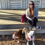 English Bulldog puppy care