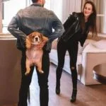 English Bulldog puppy breeder