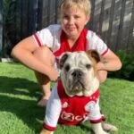 English Bulldog puppy price